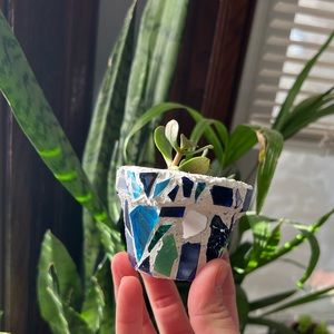 Mini handmade mosaic planter 3in